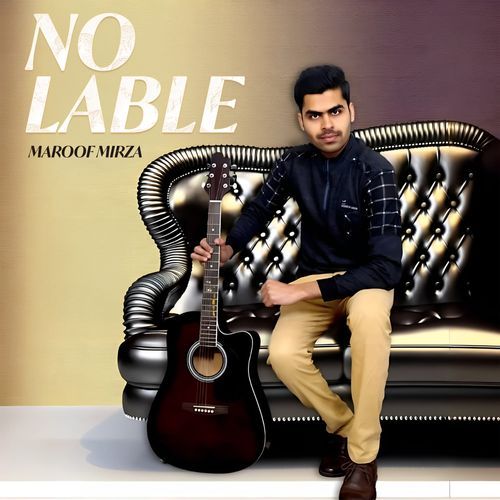 No Lable Maroof Mirza MP3 Download